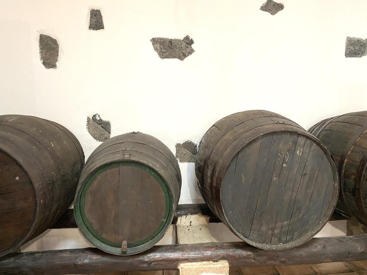 Ye Casa Del Amigo Carmeloゲストハウス エクステリア 写真